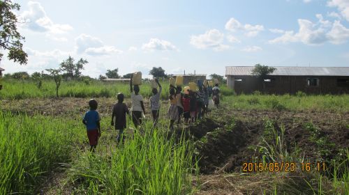 The daily walk to the water hole to collect dirty water.