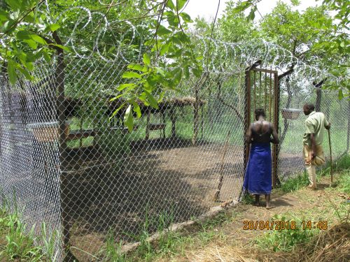 Now all we need are bees!